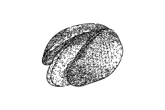 Download Ingredient Pistachio Nut Sketch Hand Dra - Ingredient Collection